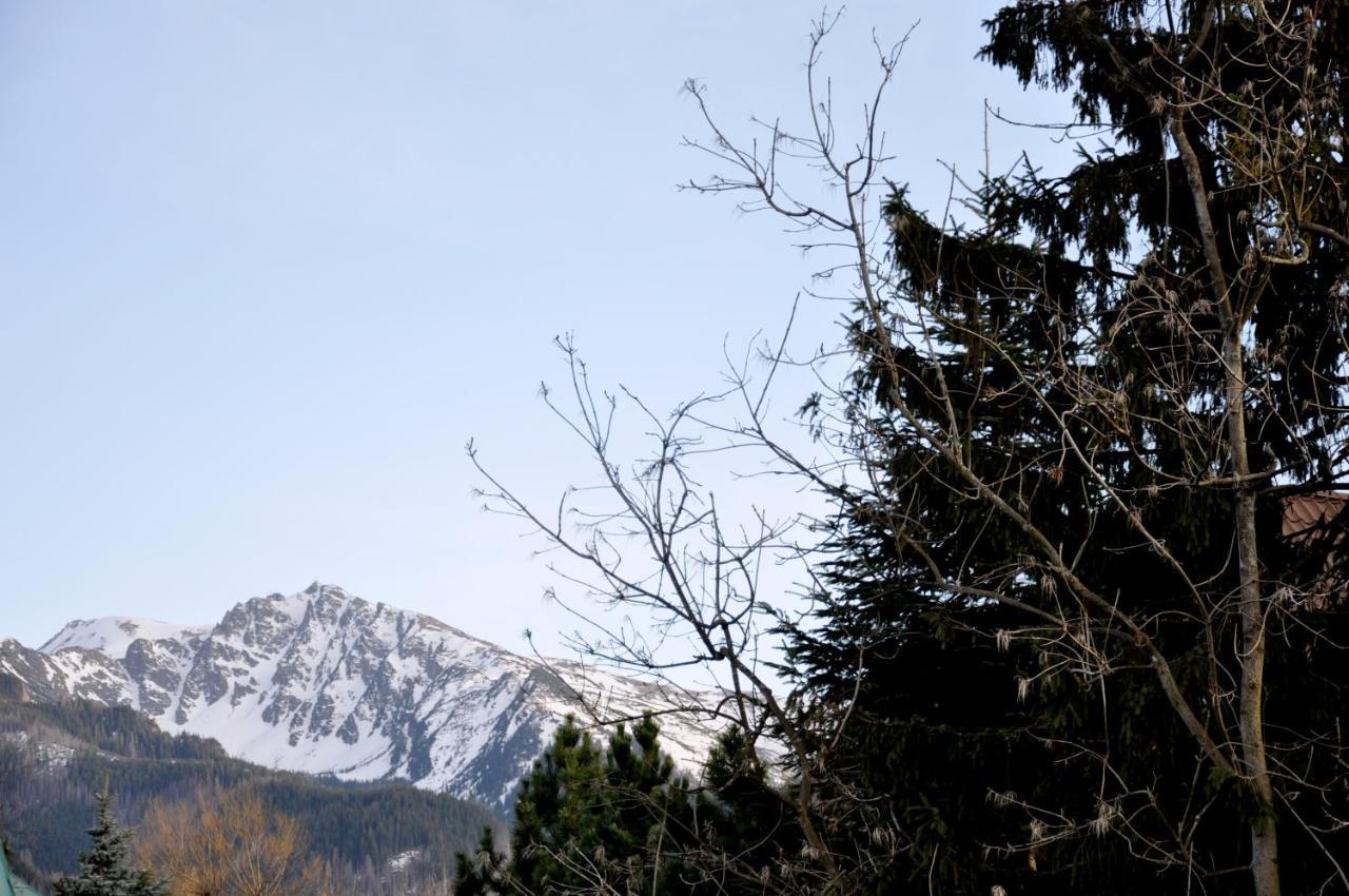 Willa Kozincówka Zakopane Exterior foto